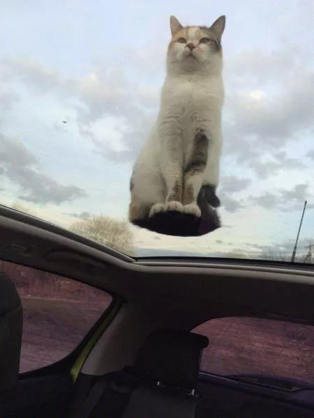 Picdump 153 - #53 