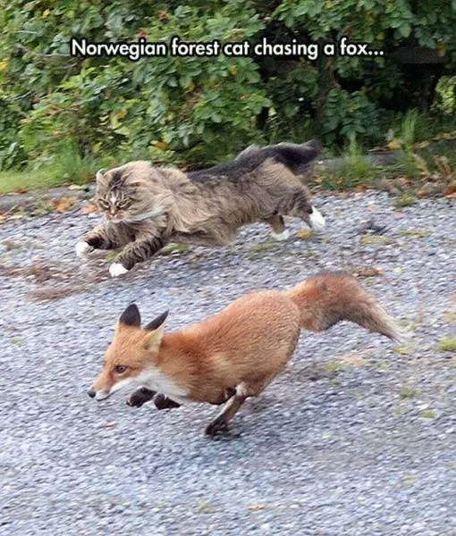 Picdump 153 - #56 