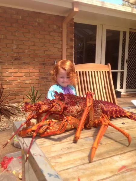 Picdump 153 - #59 