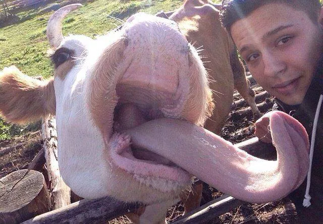 Picdump 153 - #65 