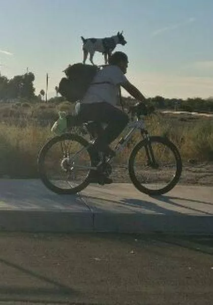 Picdump 153 - #70 