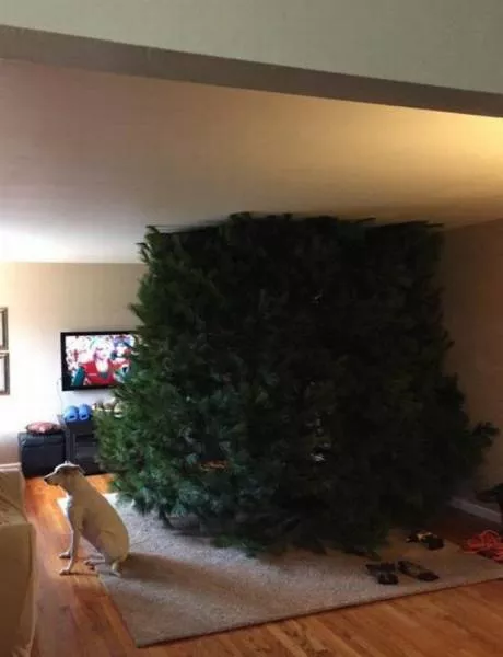 Picdump 153 - #8 