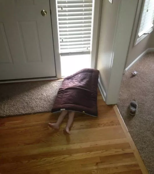 Masters of hide and seek - #20 