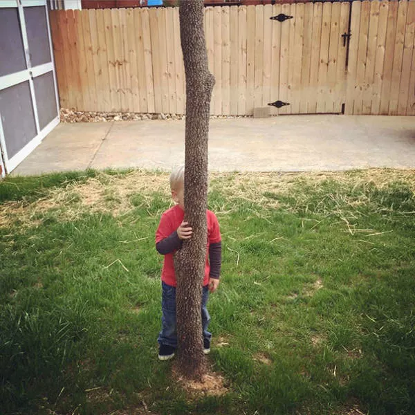 Masters of hide and seek - #46 