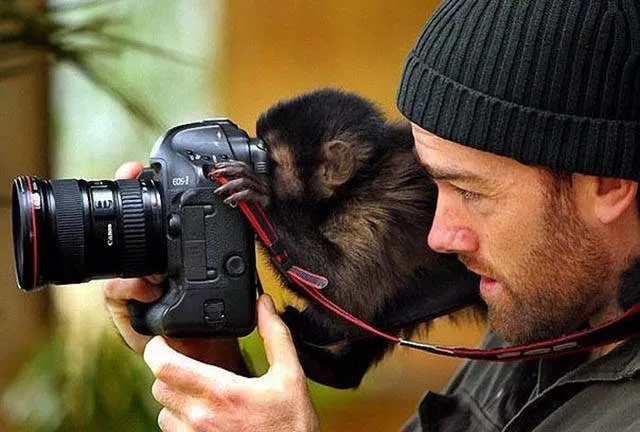 The most beautiful photos - #18 