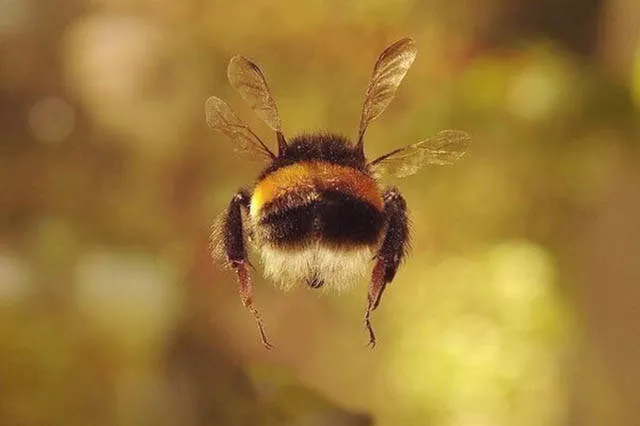 Les plus belles photos jamais prises - #31 Les plus belles photos jamais prises - #31