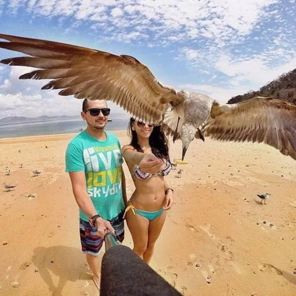 Les plus belles photos jamais prises - #32 Les plus belles photos jamais prises - #32