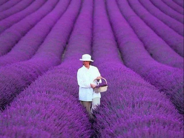 The most beautiful photos - #35 