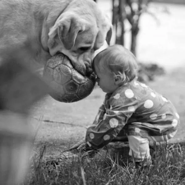 The most beautiful photos - #7 