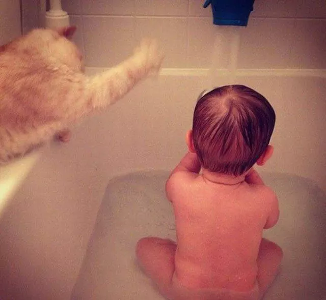 A great photo collection to end the week well - #26 