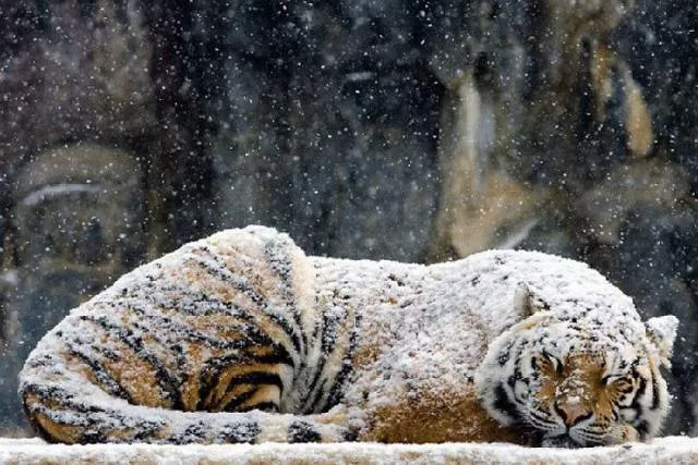 Winter is not only cold - #30 