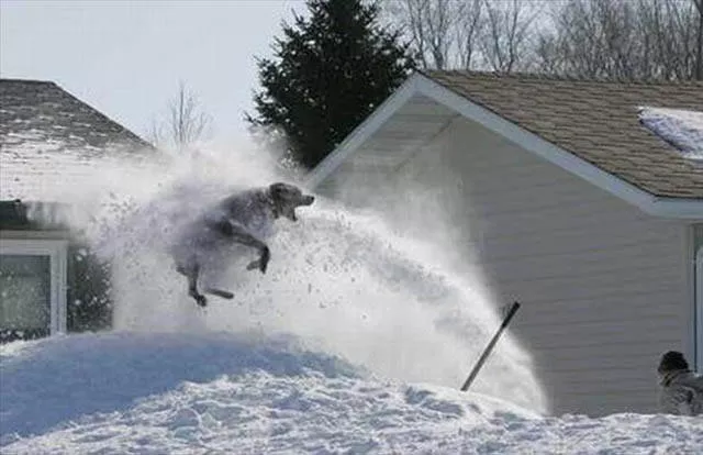 Winter is not only cold - #42 