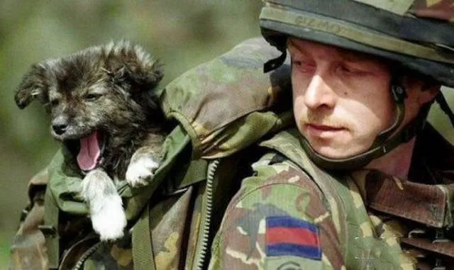 The military also have the right to do funny things - #21 