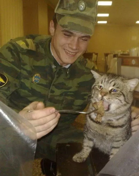 The military also have the right to do funny things - #40 