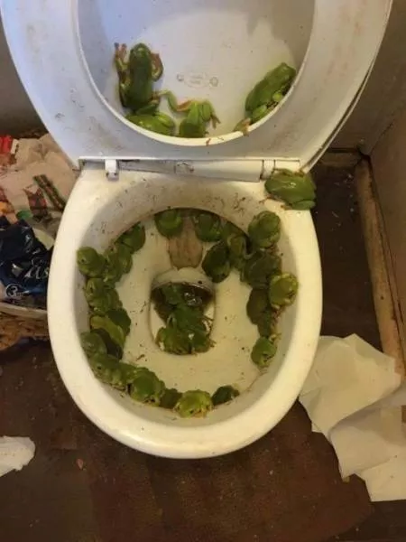 Toilettes creativite - #14 