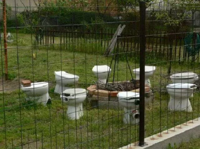 Toilet creativity - #15 