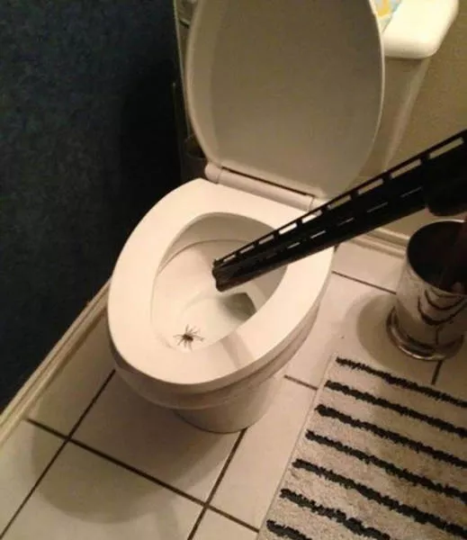 Toilet creativity - #24 