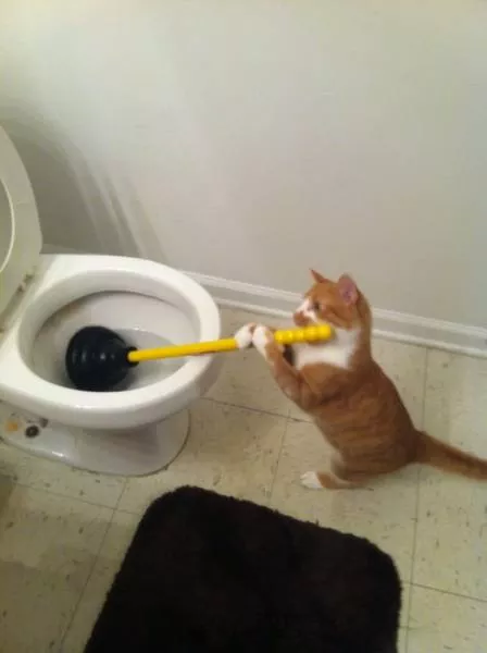Toilettes creativite - #30 