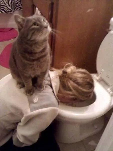Toilettes creativite - #38 