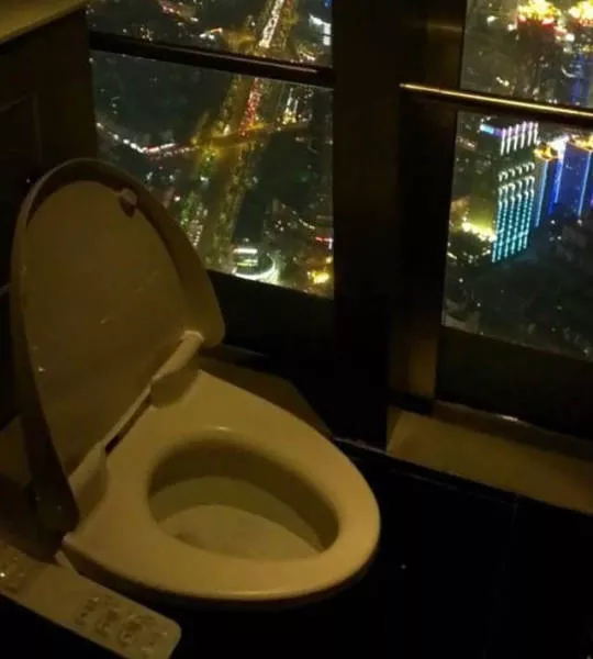 Toilet creativity - #6 
