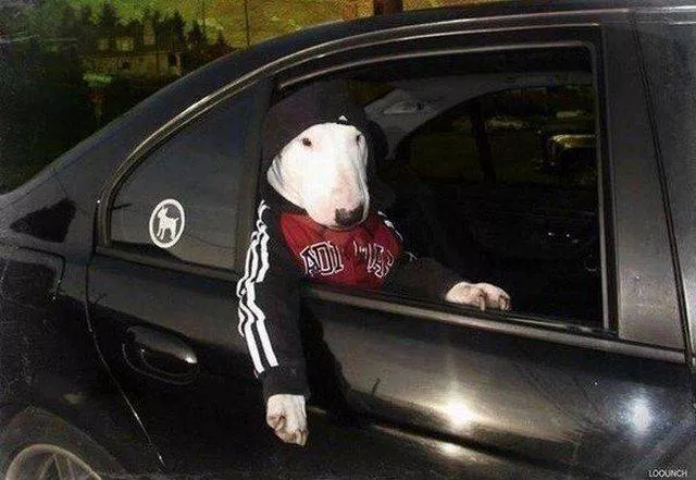 Picdump 155 - #27 