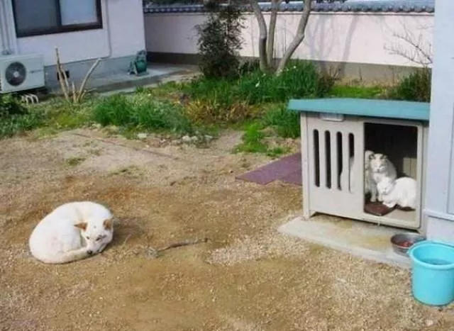 Picdump 155 - #30 
