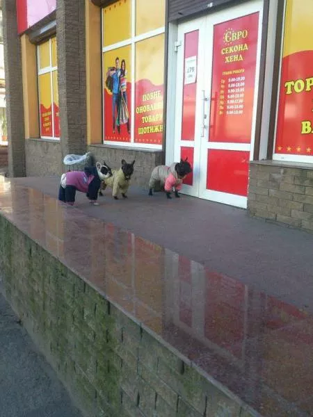 Picdump 155 - #52 