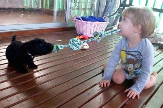 Picdump 155 - #54 