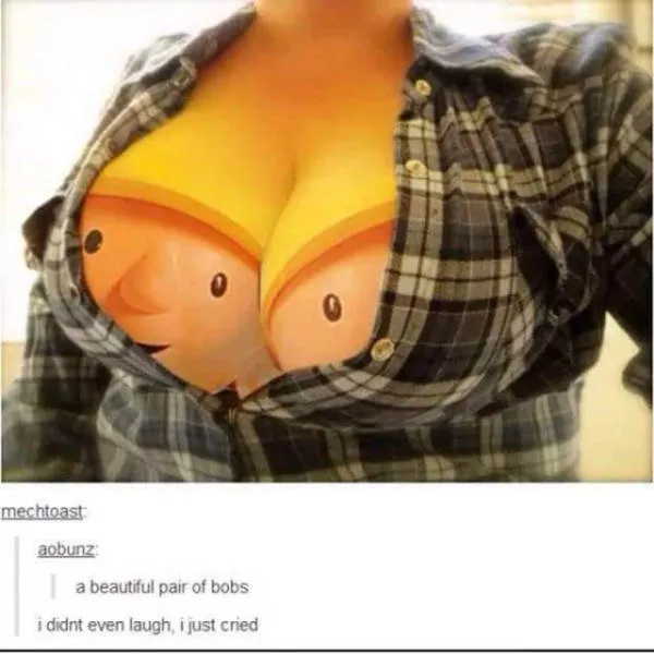 Adult humor