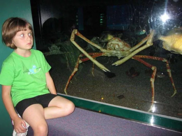 The most scary pics - #11 