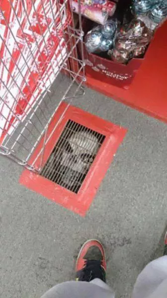 The most scary pics - #18 