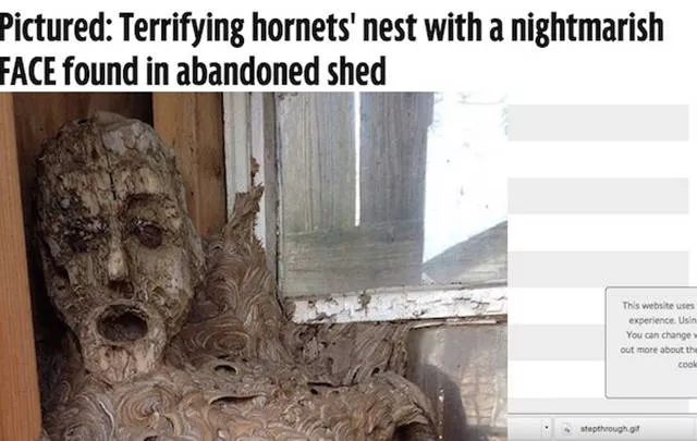 The most scary pics - #4 