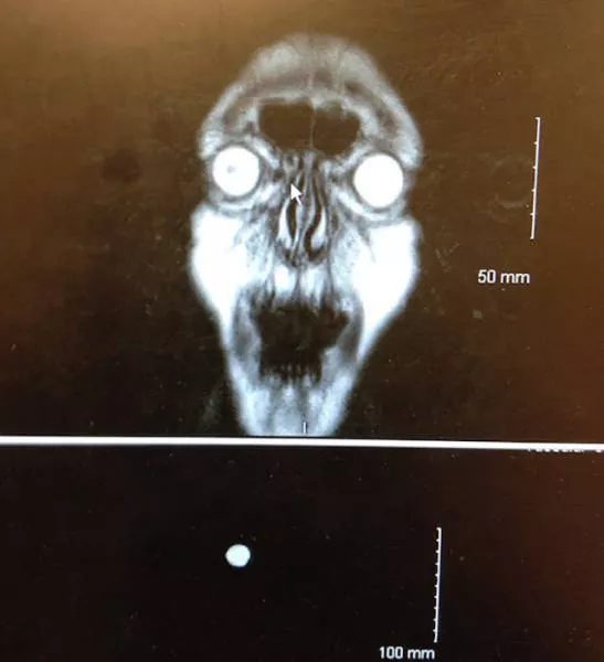 The most scary pics - #7 