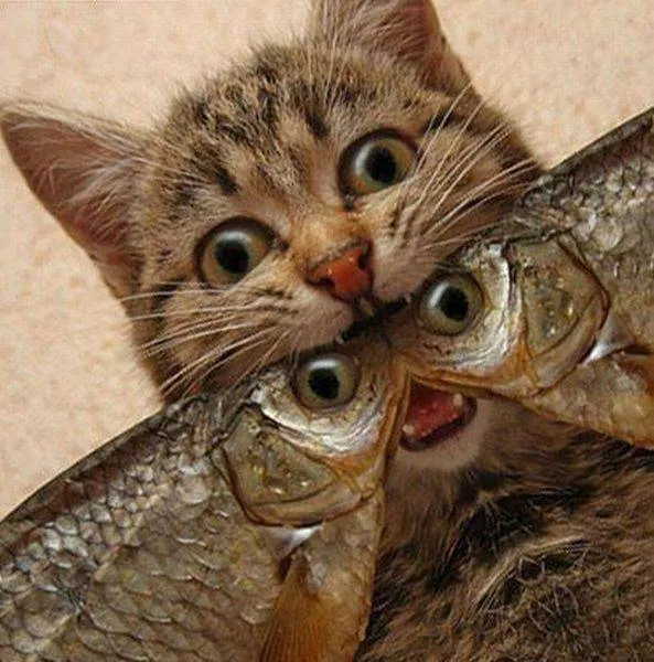 Picdump 156 - #26 