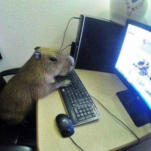 Picdump 156 - #40 