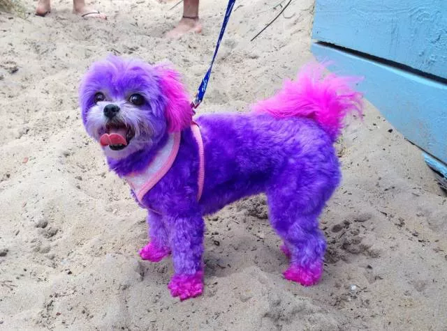 Picdump 156 - #47 