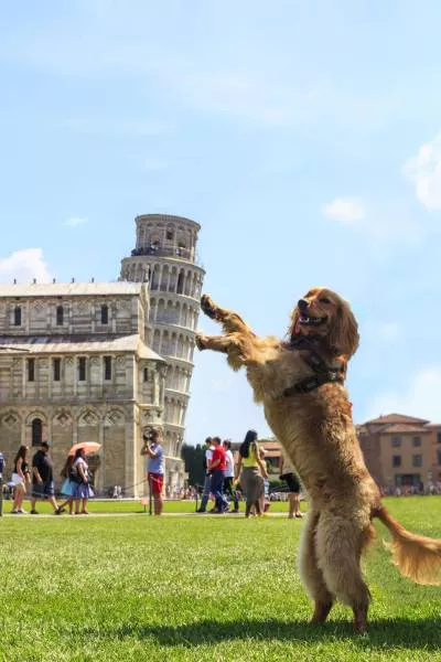 Picdump 156 - #52 