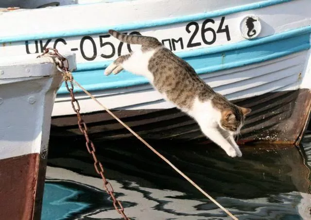 Picdump 156 - #60 