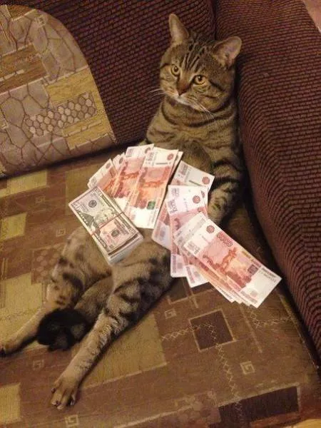Picdump 156 - #61 