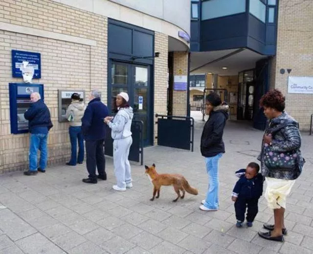 Picdump 156 - #62 