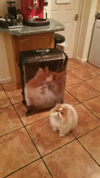Picdump 156 - #63 