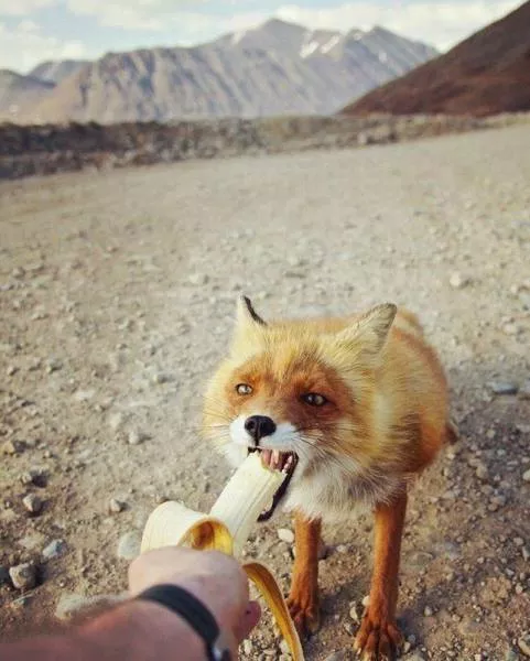 Picdump 156 - #68 