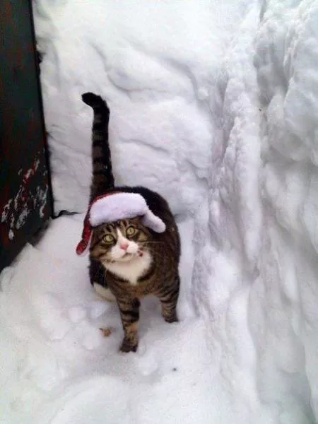 Picdump 156 - #8 