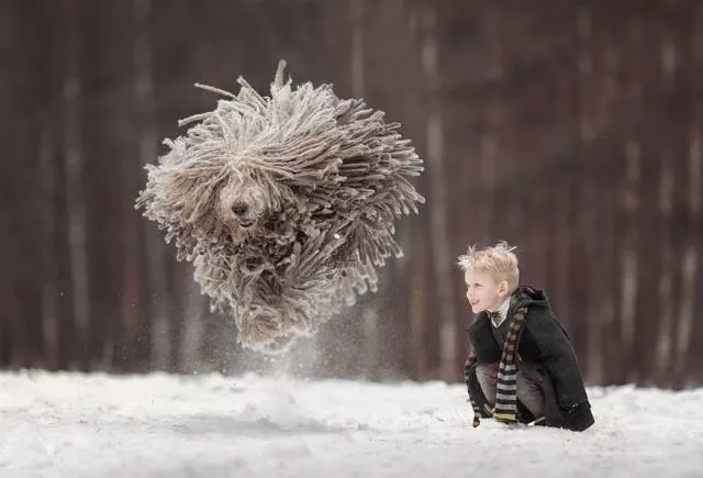 Picdump 156 - #82 