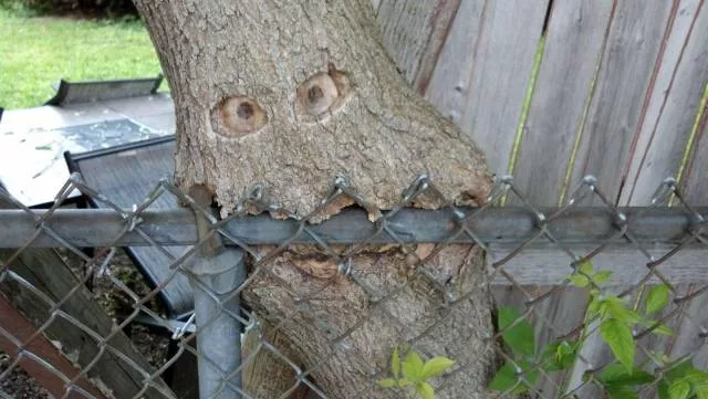 Picdump 156 - #87 