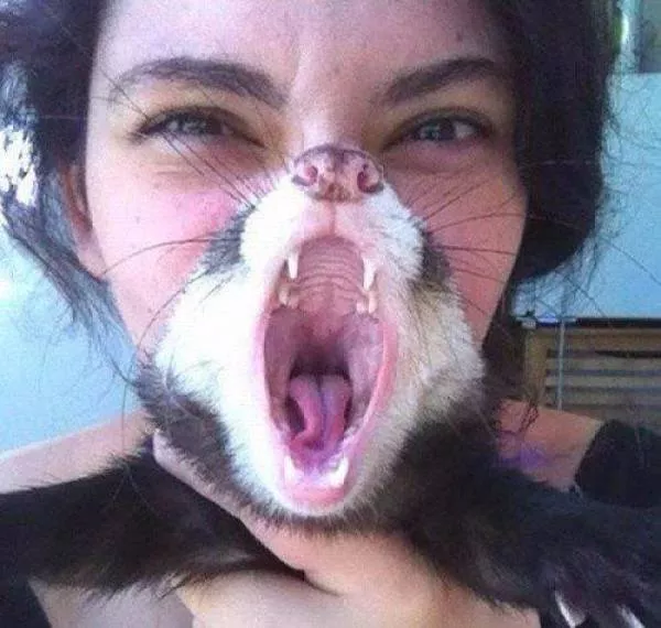 Picdump 156 - #9 