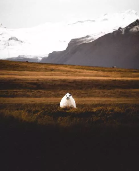 Iceland a paradise on earth - #45 