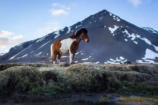 Iceland a paradise on earth - #58 
