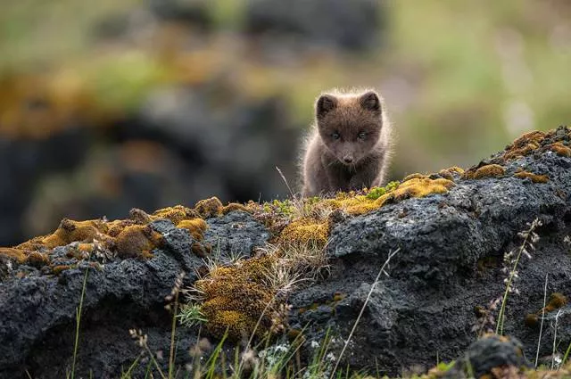 Iceland a paradise on earth - #9 