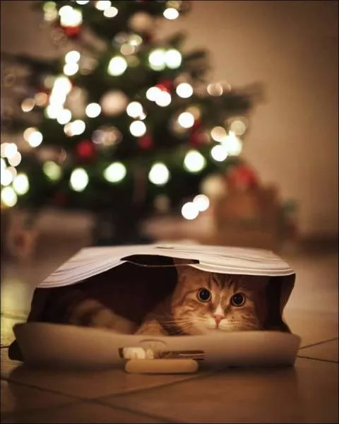 Picdump 157 - #10 